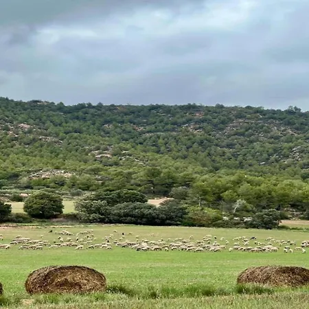 17th Century In Bages Near Montserrat Castellfollit del Boix